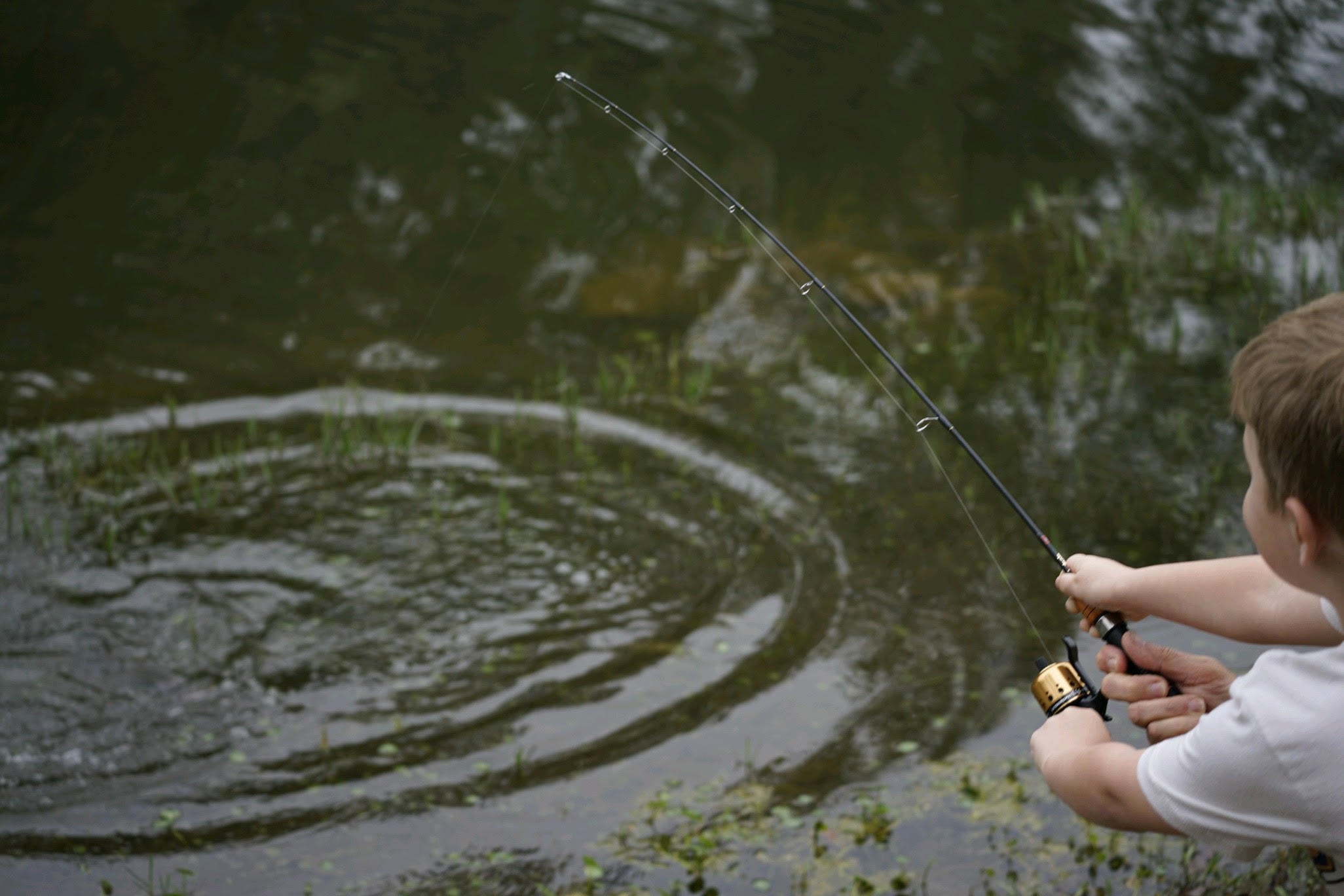 Tadpole - Kids Fishing Poles Tadpole - Kids Fishing Poles