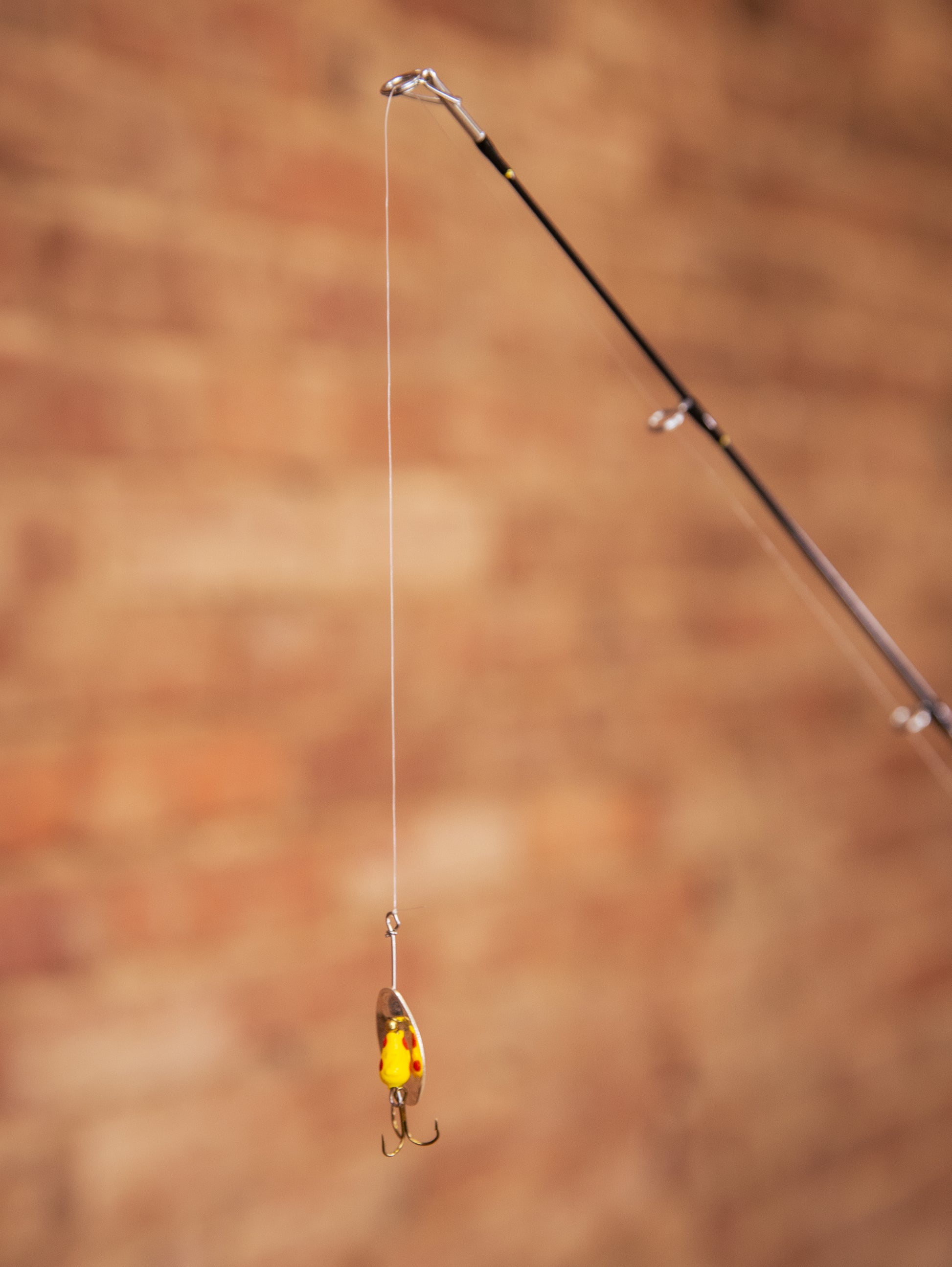 The Tadpole - Kid's Fishing Pole – Tadpole The Tadpole - Kid's Fishing Pole – Tadpole